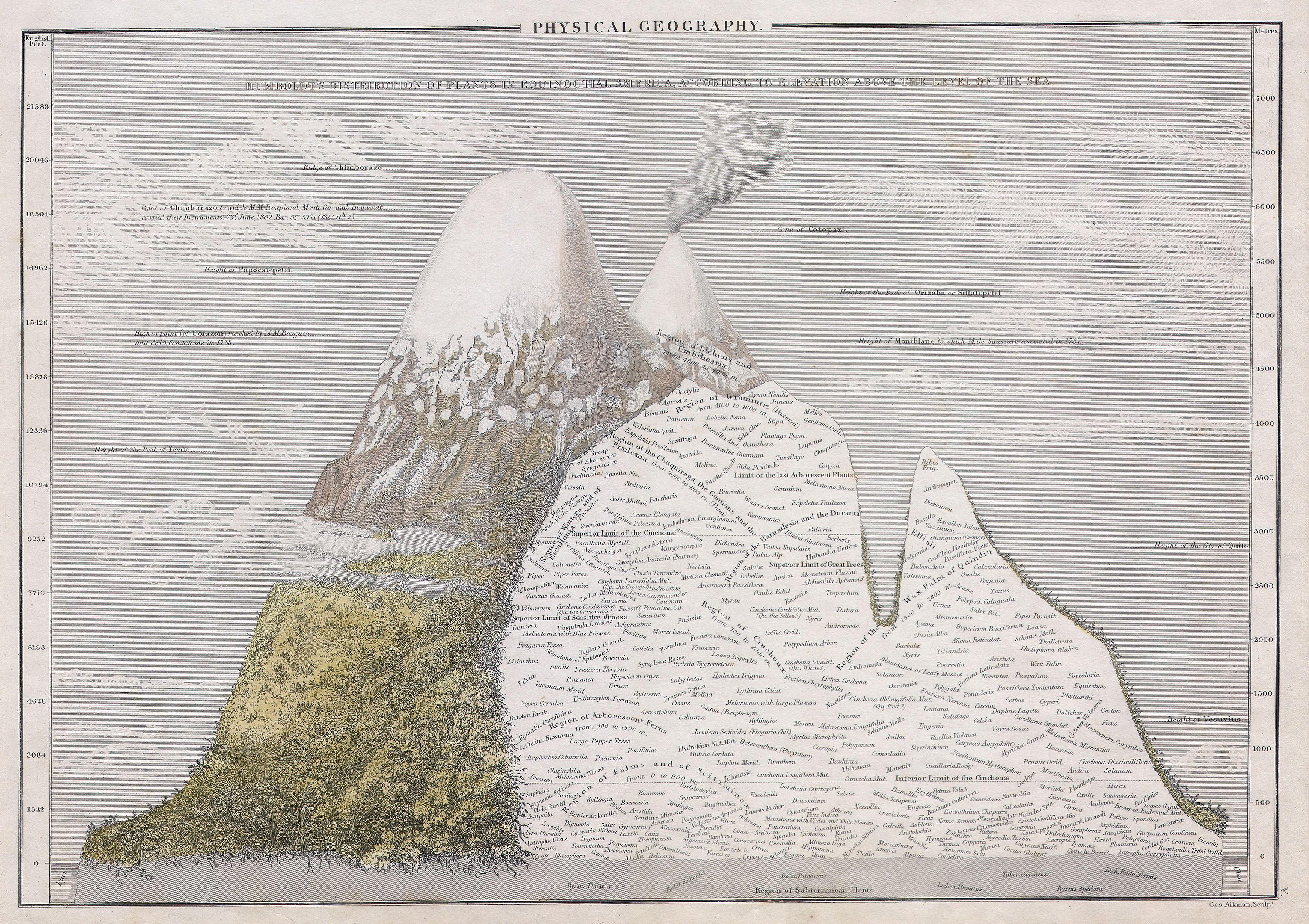 Bericht Alexander Humboldts aus Essai sur la géographie des plantes, Paris 1805.